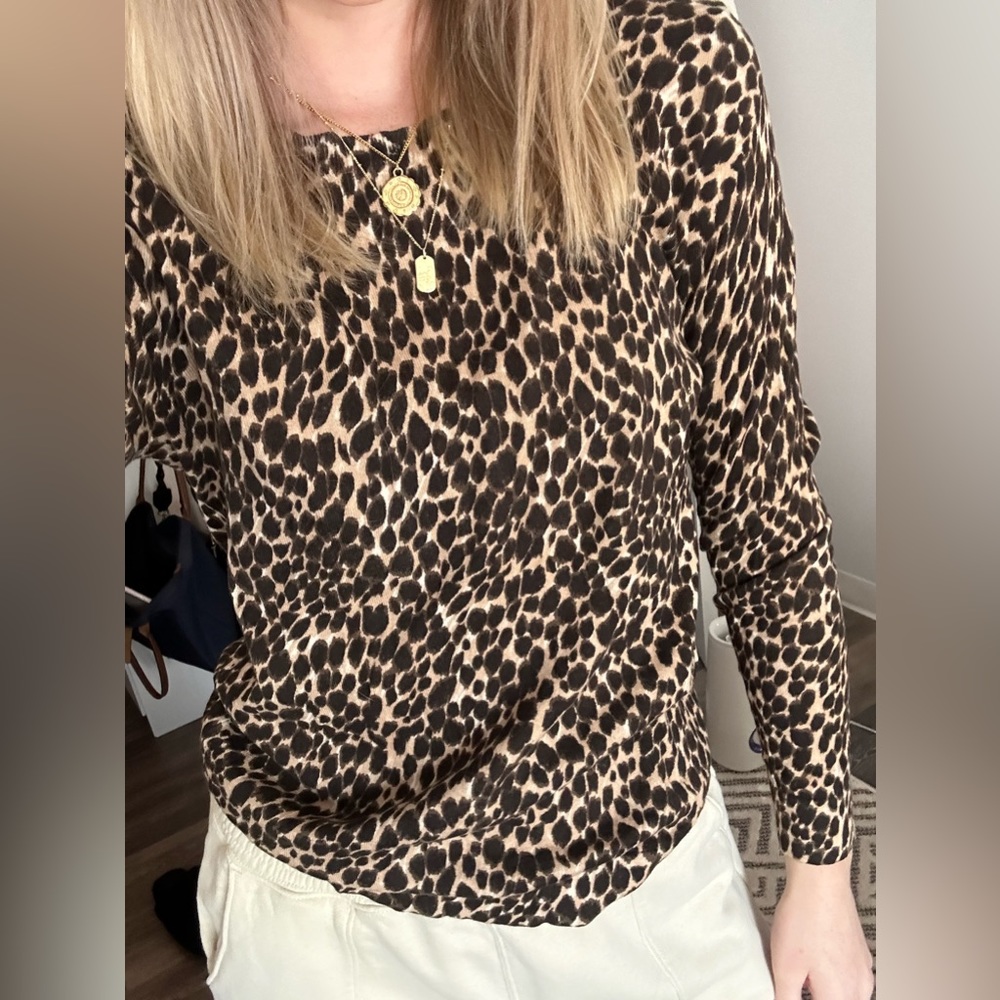 Cheetah Sweater